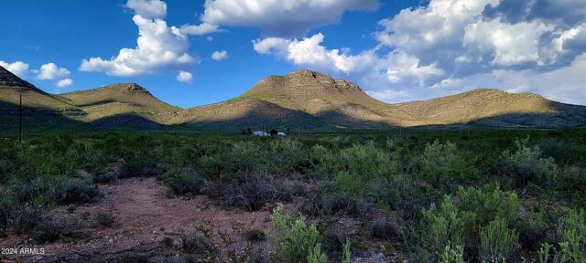 Picture of Residential Land For Sale in Bisbee, Arizona, United States