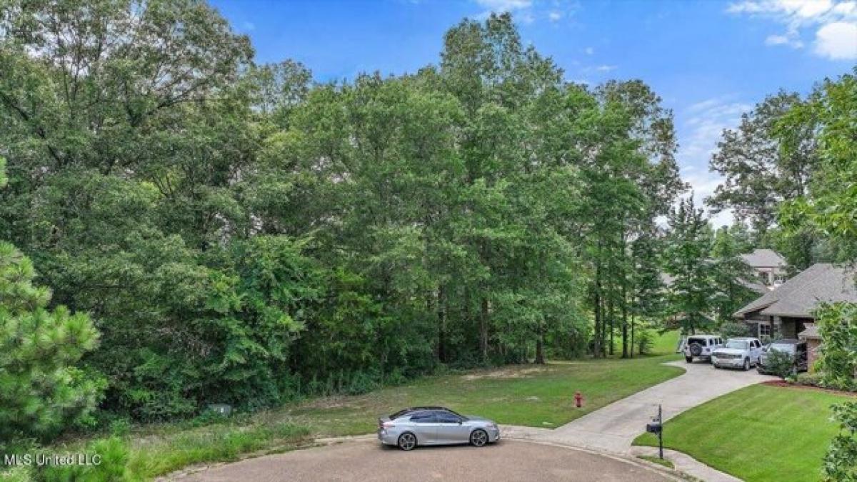 Picture of Residential Land For Sale in Clinton, Mississippi, United States