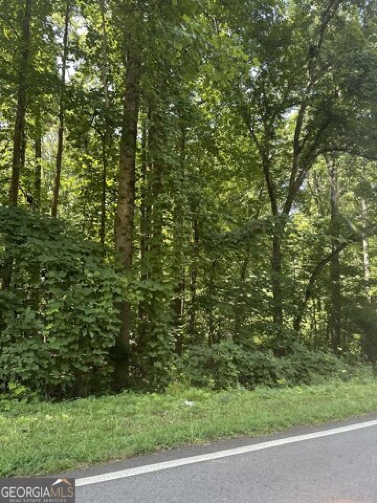 Picture of Residential Land For Sale in Oakwood, Georgia, United States