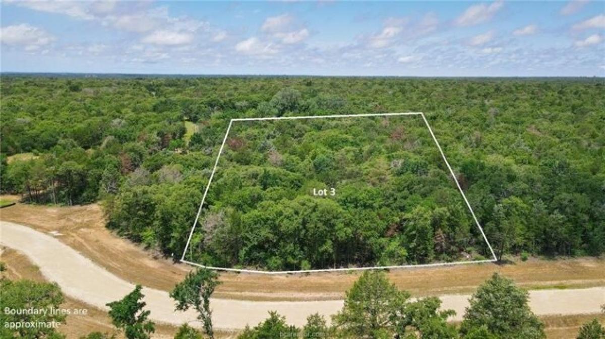 Picture of Residential Land For Sale in Caldwell, Texas, United States