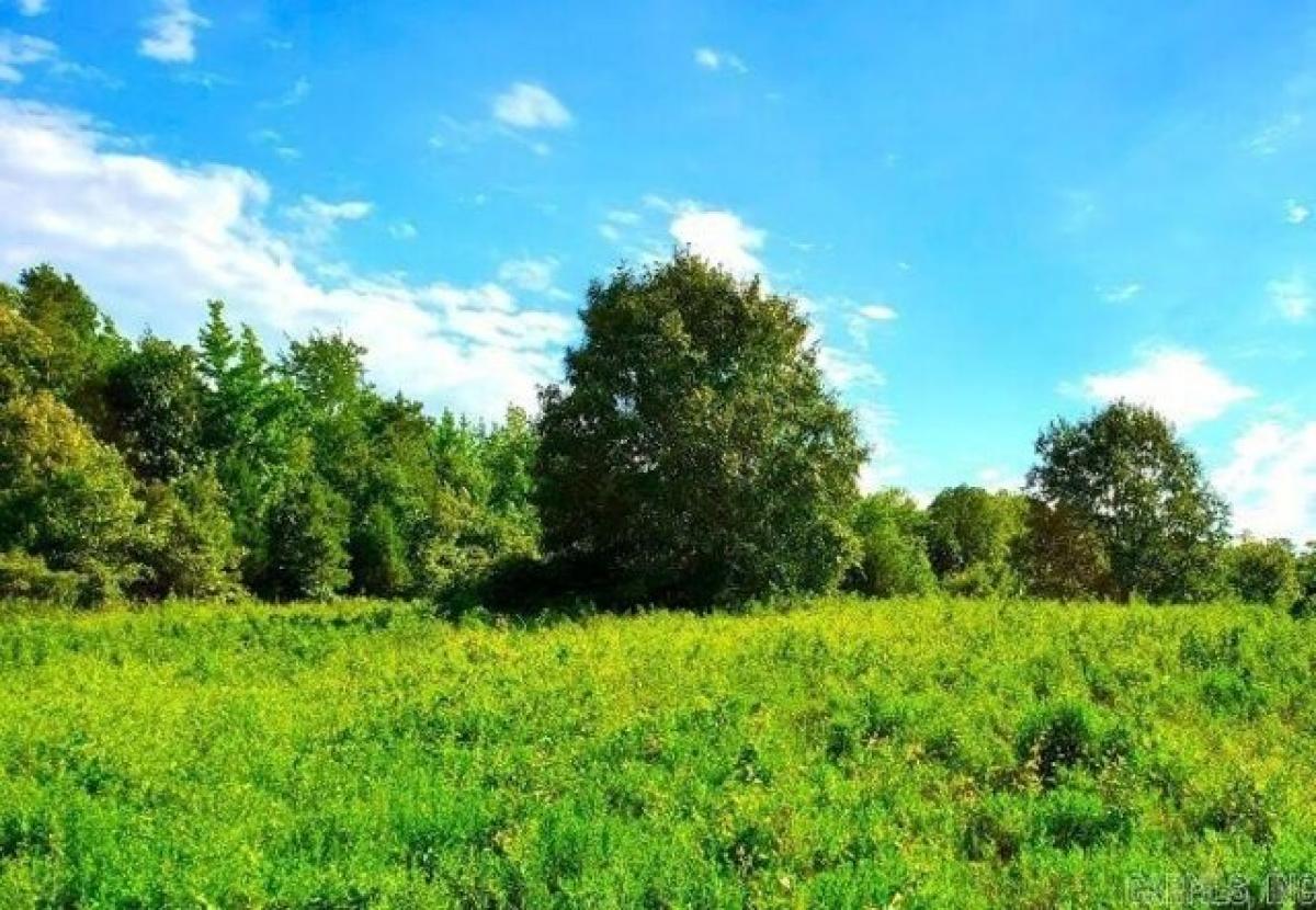 Picture of Residential Land For Sale in Oden, Arkansas, United States