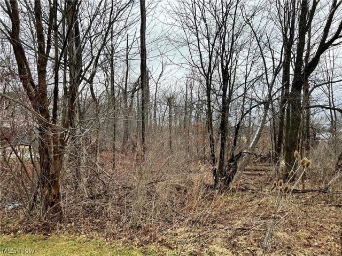 Picture of Residential Land For Sale in Strongsville, Ohio, United States