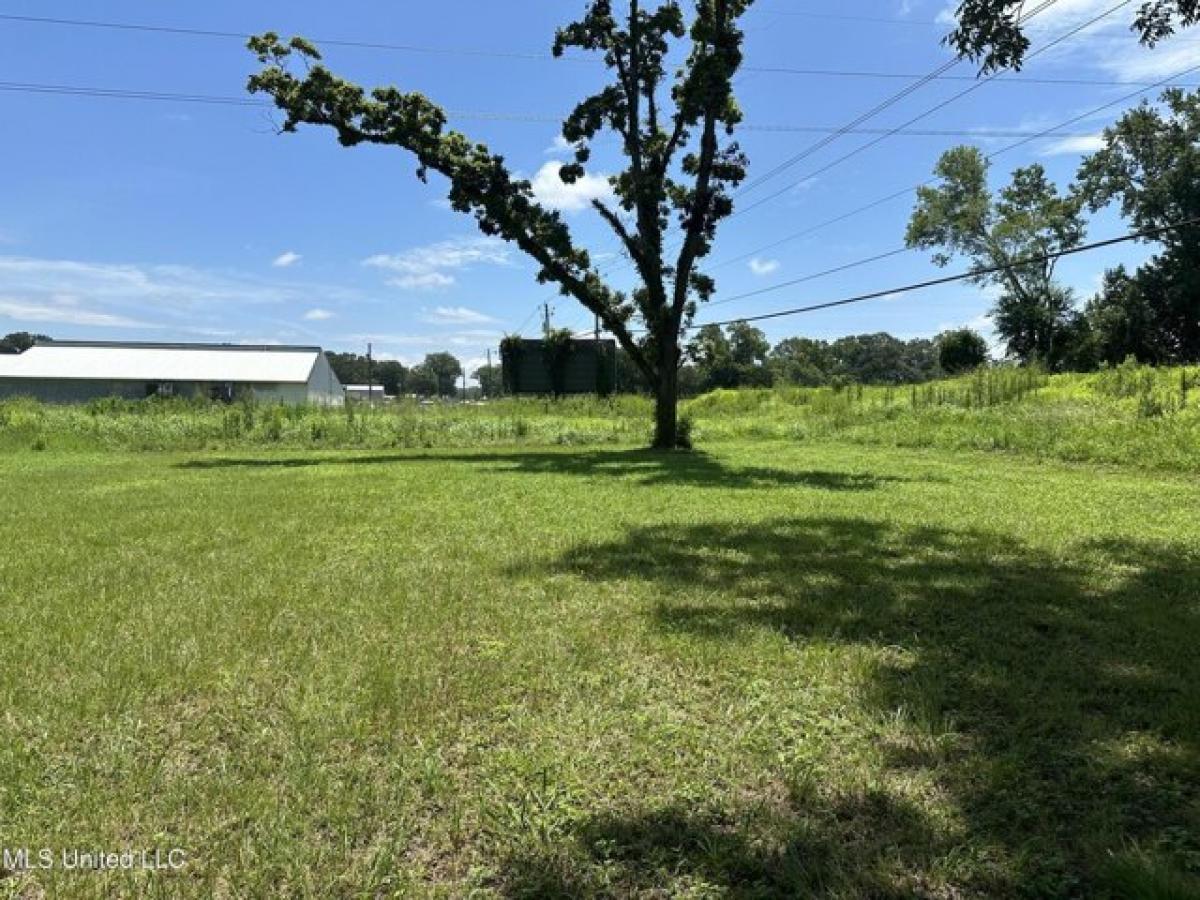 Picture of Residential Land For Sale in Lucedale, Mississippi, United States