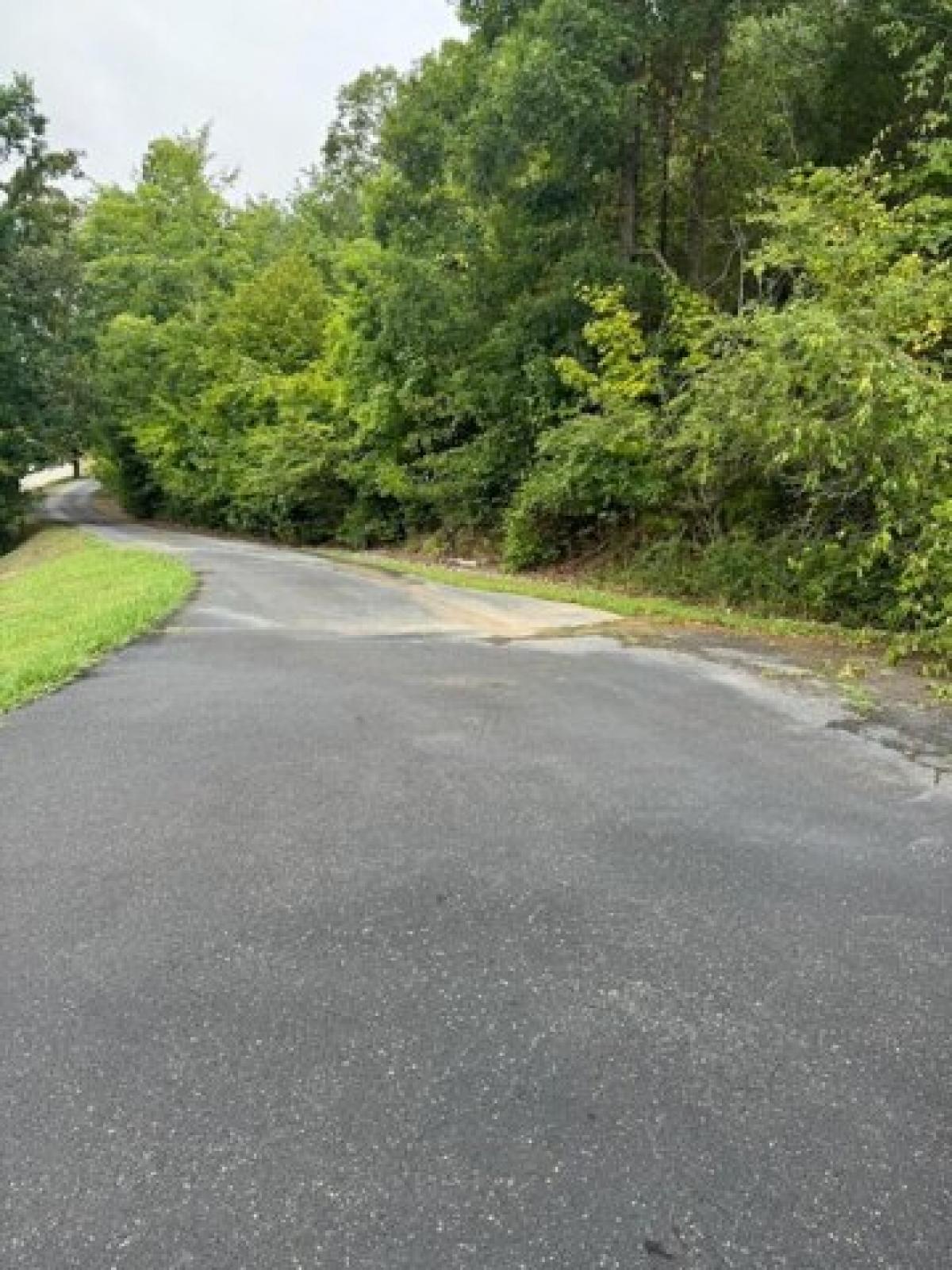 Picture of Residential Land For Sale in Harrison, Tennessee, United States