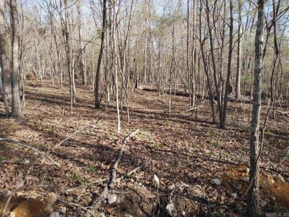 Picture of Residential Land For Sale in Clarkridge, Arkansas, United States