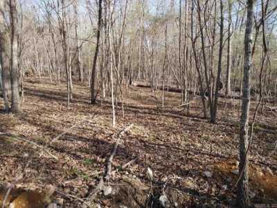 Residential Land For Sale in Clarkridge, Arkansas