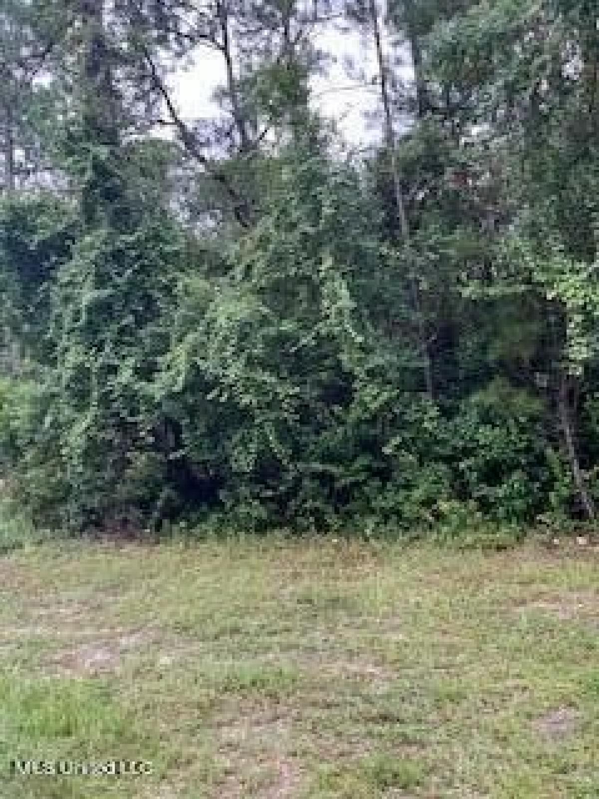 Picture of Residential Land For Rent in Ocean Springs, Mississippi, United States