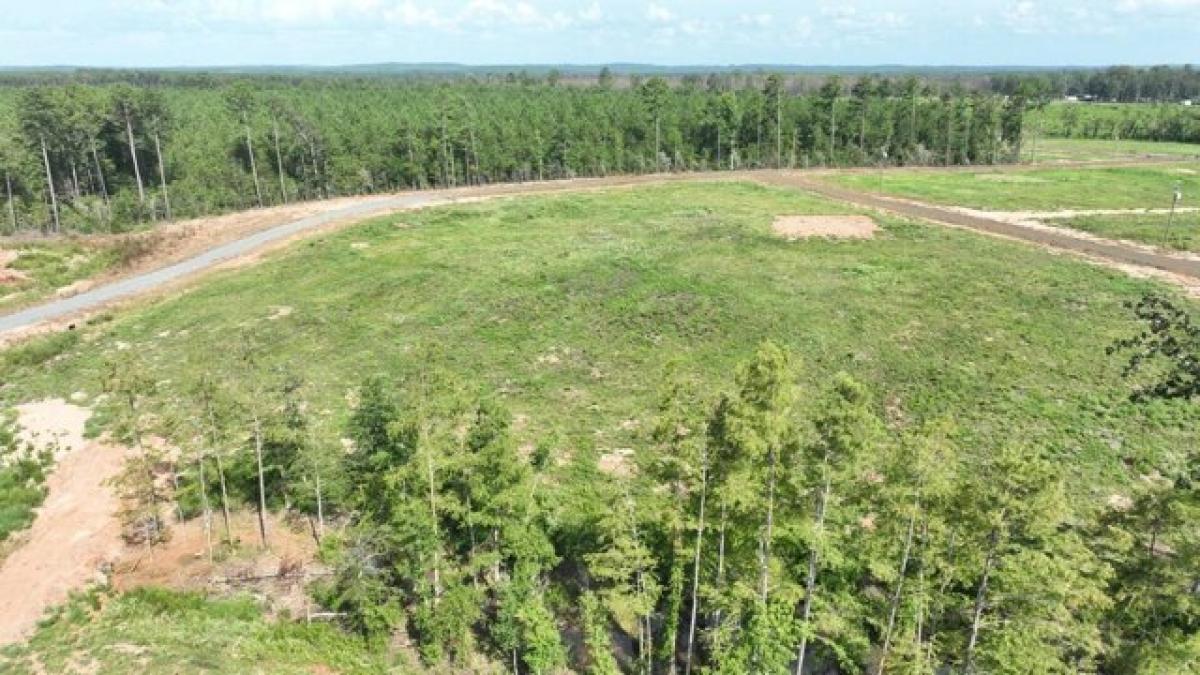 Picture of Residential Land For Sale in Florien, Louisiana, United States