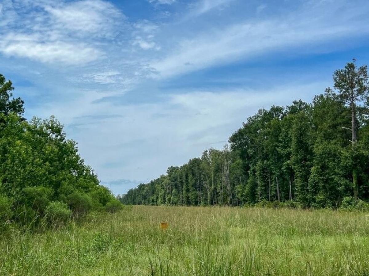 Picture of Residential Land For Sale in Orange, Texas, United States