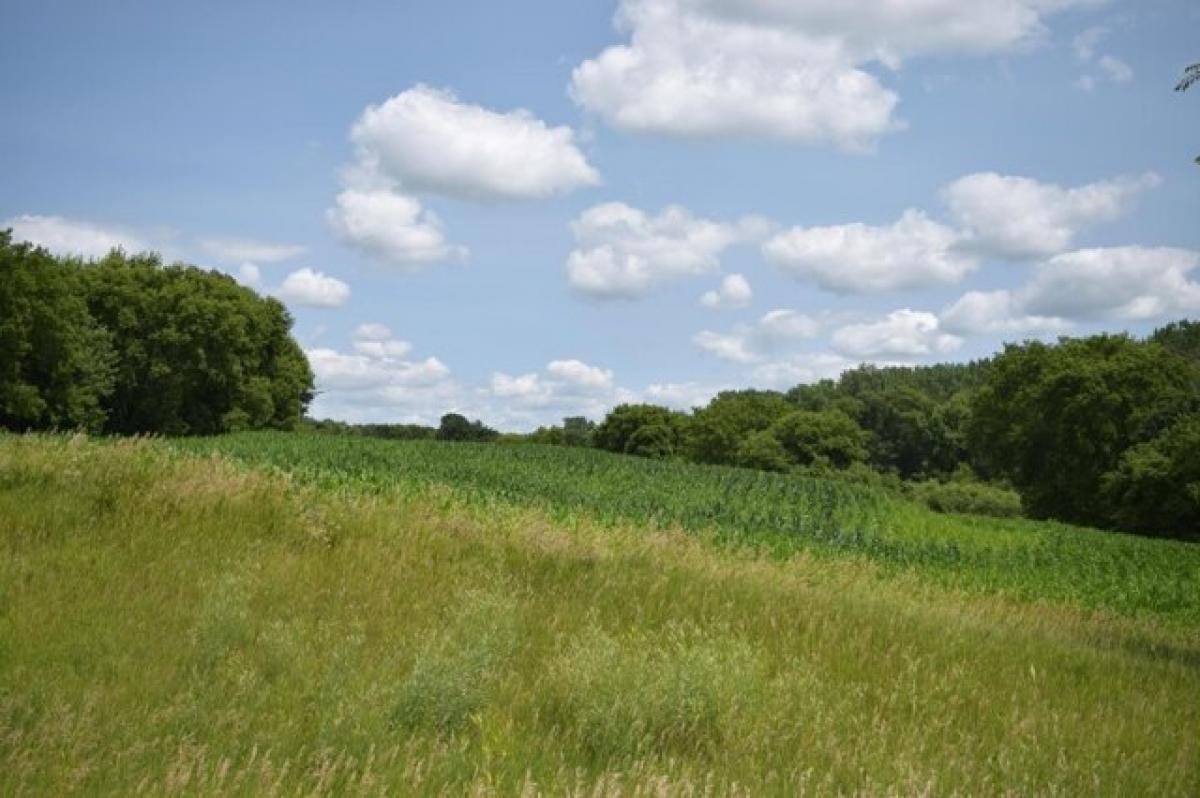 Picture of Residential Land For Sale in Howard Lake, Minnesota, United States