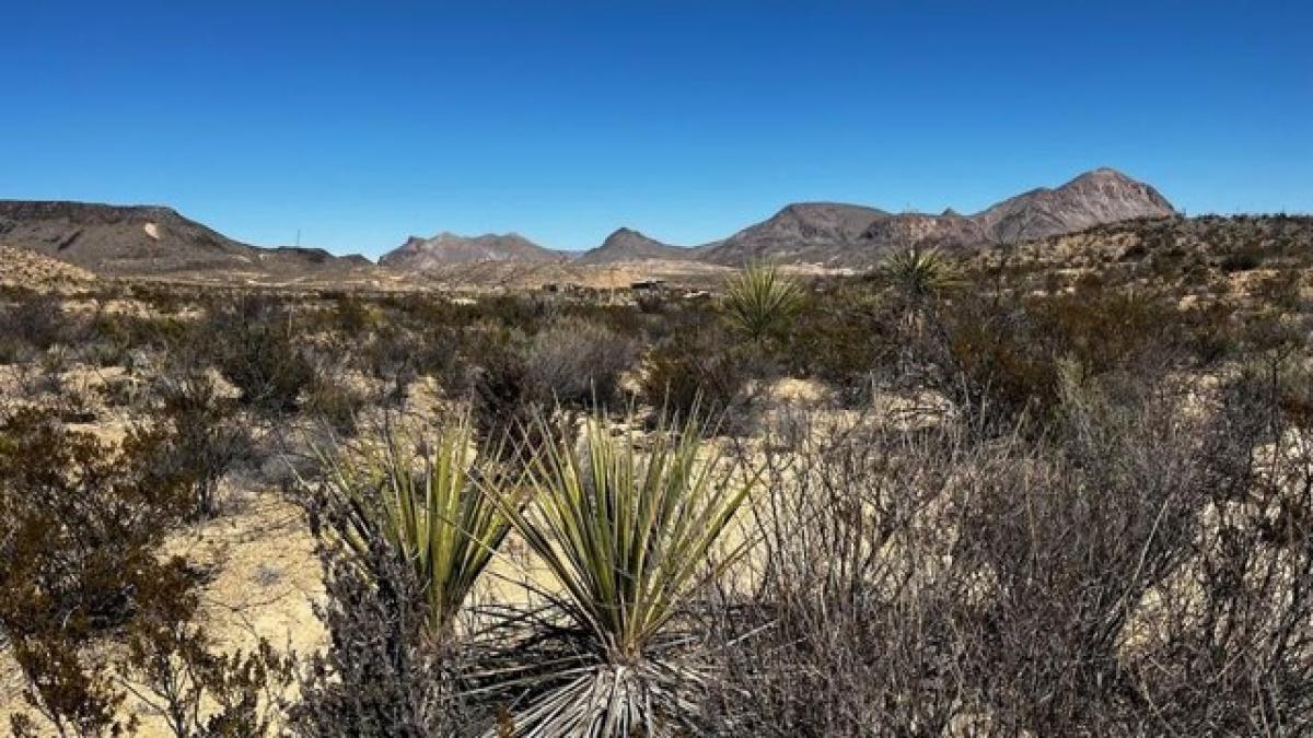 Picture of Residential Land For Sale in Terlingua, Texas, United States