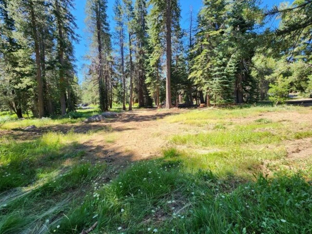 Picture of Residential Land For Sale in Bear Valley, California, United States