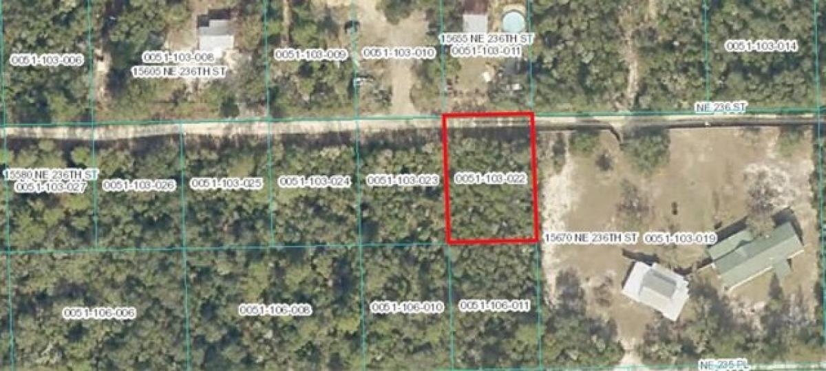 Picture of Residential Land For Sale in Fort Mccoy, Florida, United States