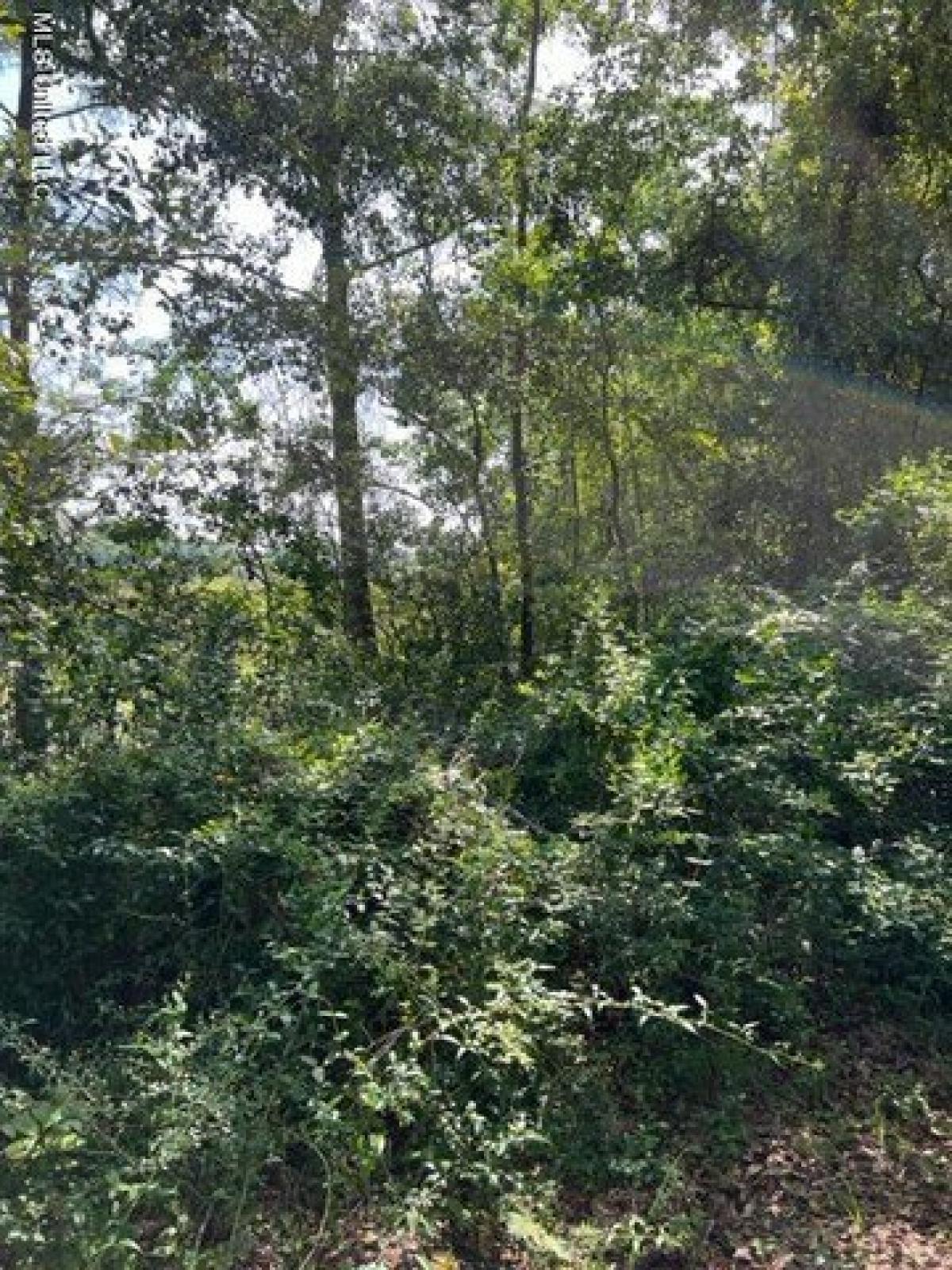 Picture of Residential Land For Sale in Gautier, Mississippi, United States