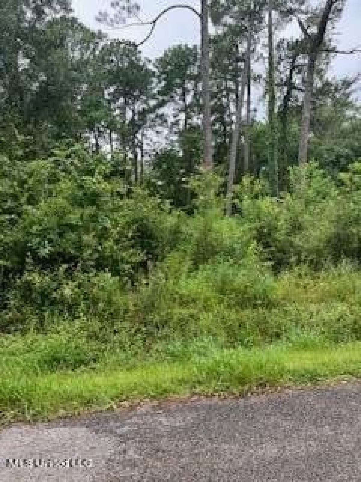 Picture of Residential Land For Sale in Ocean Springs, Mississippi, United States