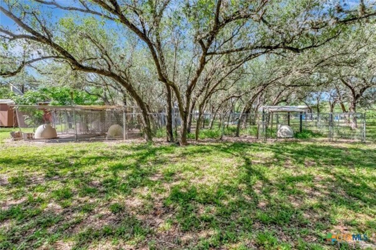 Picture of Home For Sale in Beeville, Texas, United States