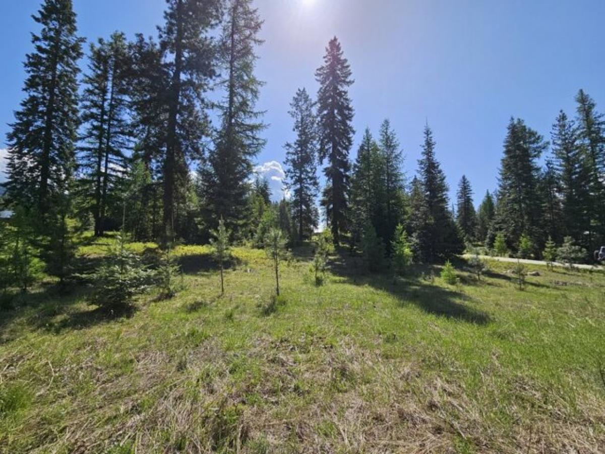 Picture of Residential Land For Sale in Trout Creek, Montana, United States