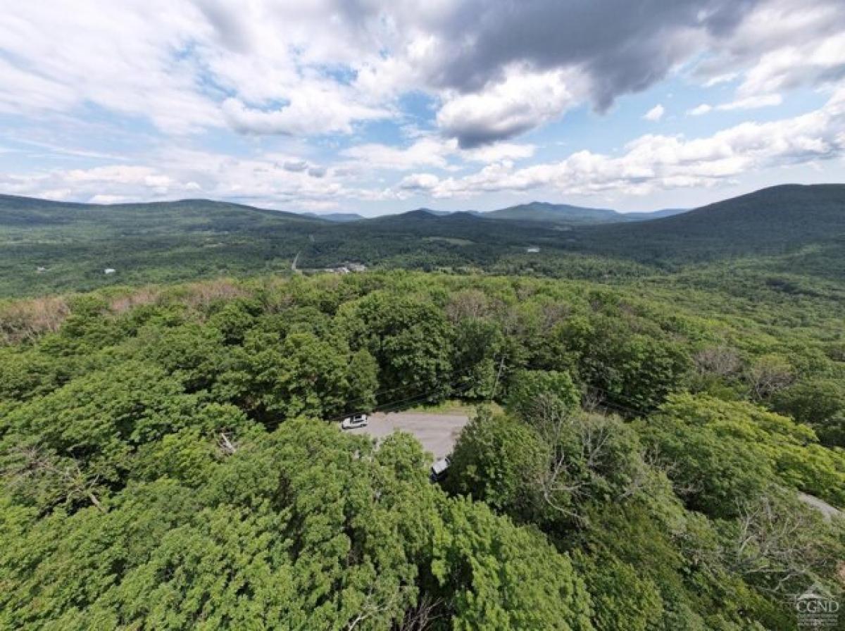 Picture of Residential Land For Sale in Jewett, New York, United States