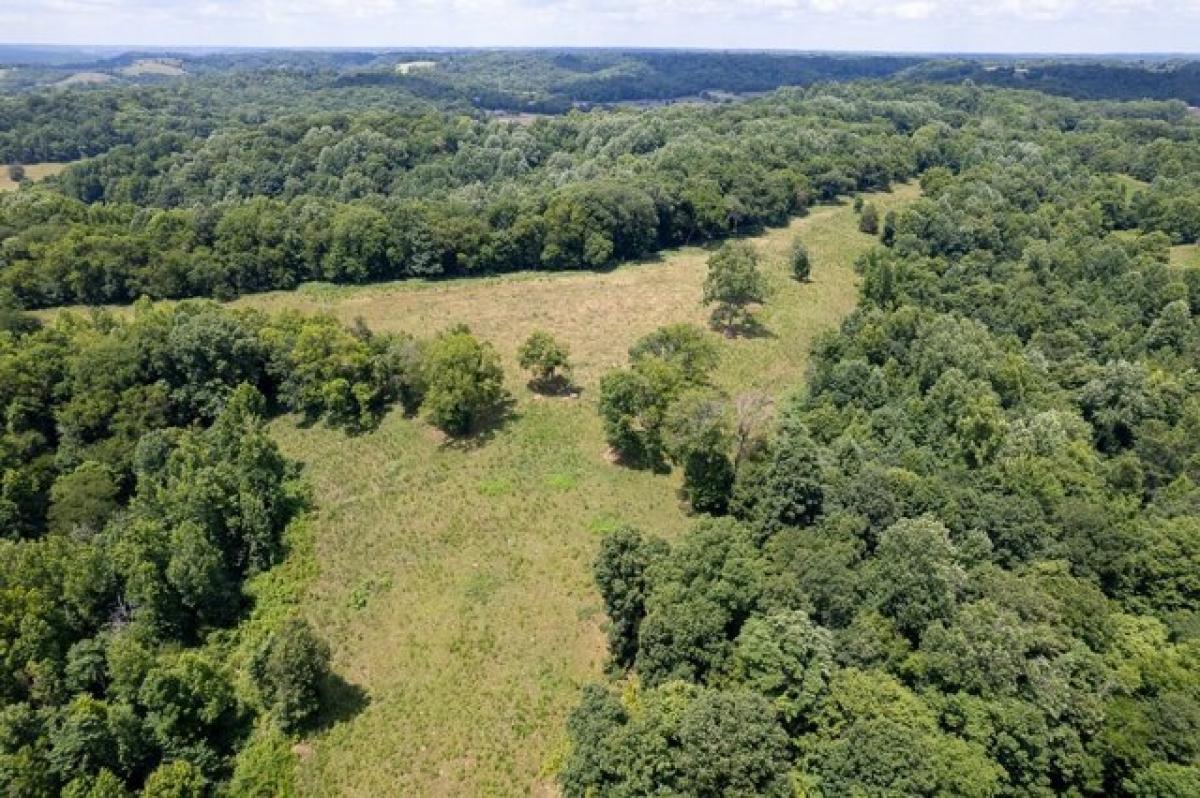 Picture of Residential Land For Sale in Pulaski, Tennessee, United States