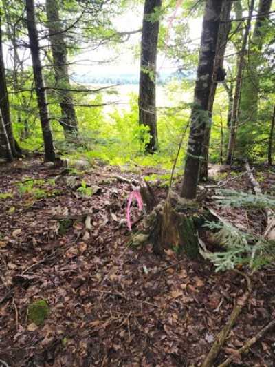 Residential Land For Sale in Island Falls, Maine