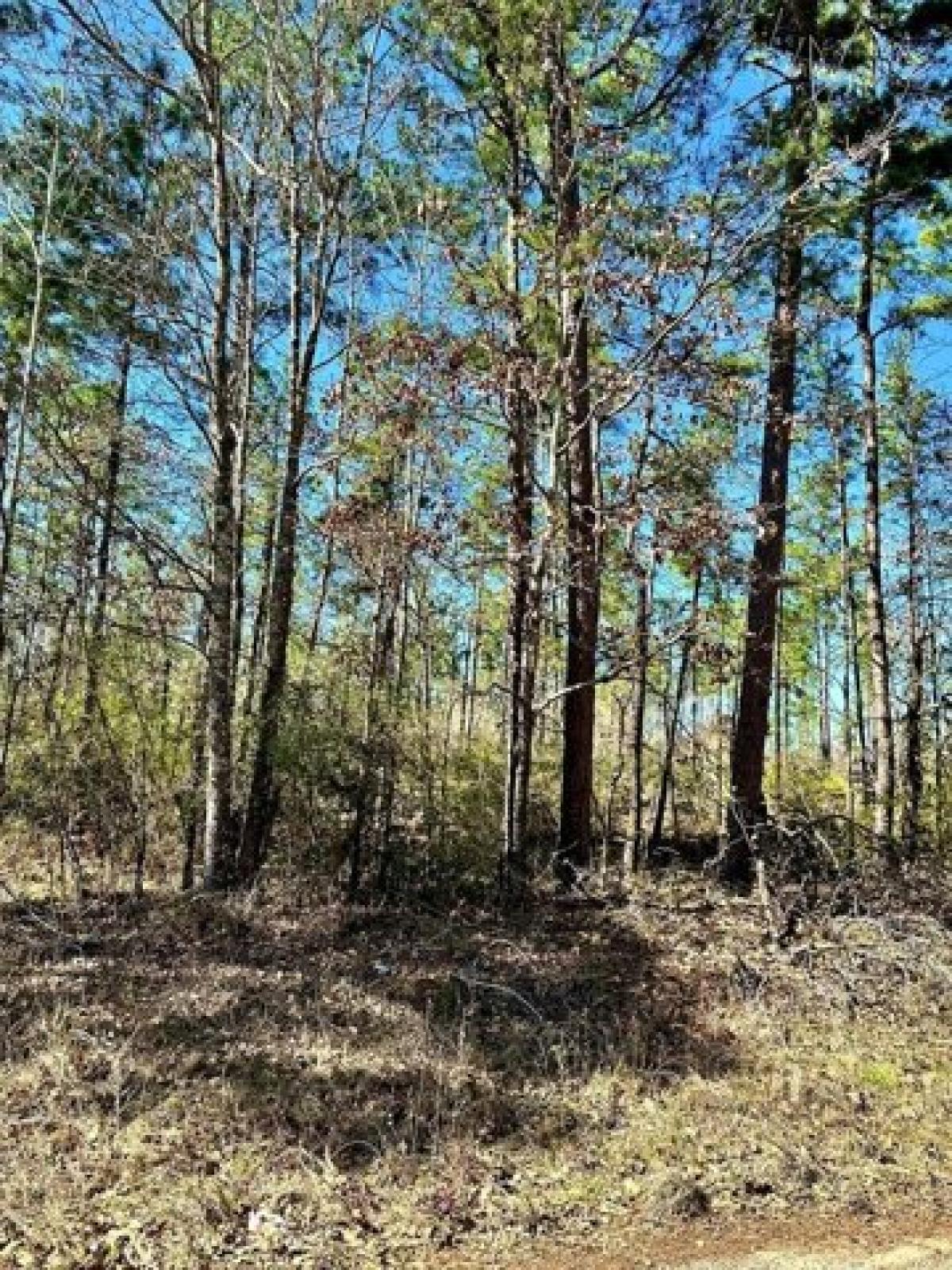 Picture of Residential Land For Sale in Lufkin, Texas, United States