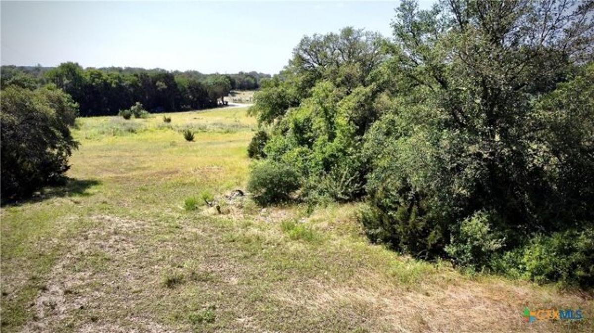 Picture of Residential Land For Sale in Kempner, Texas, United States