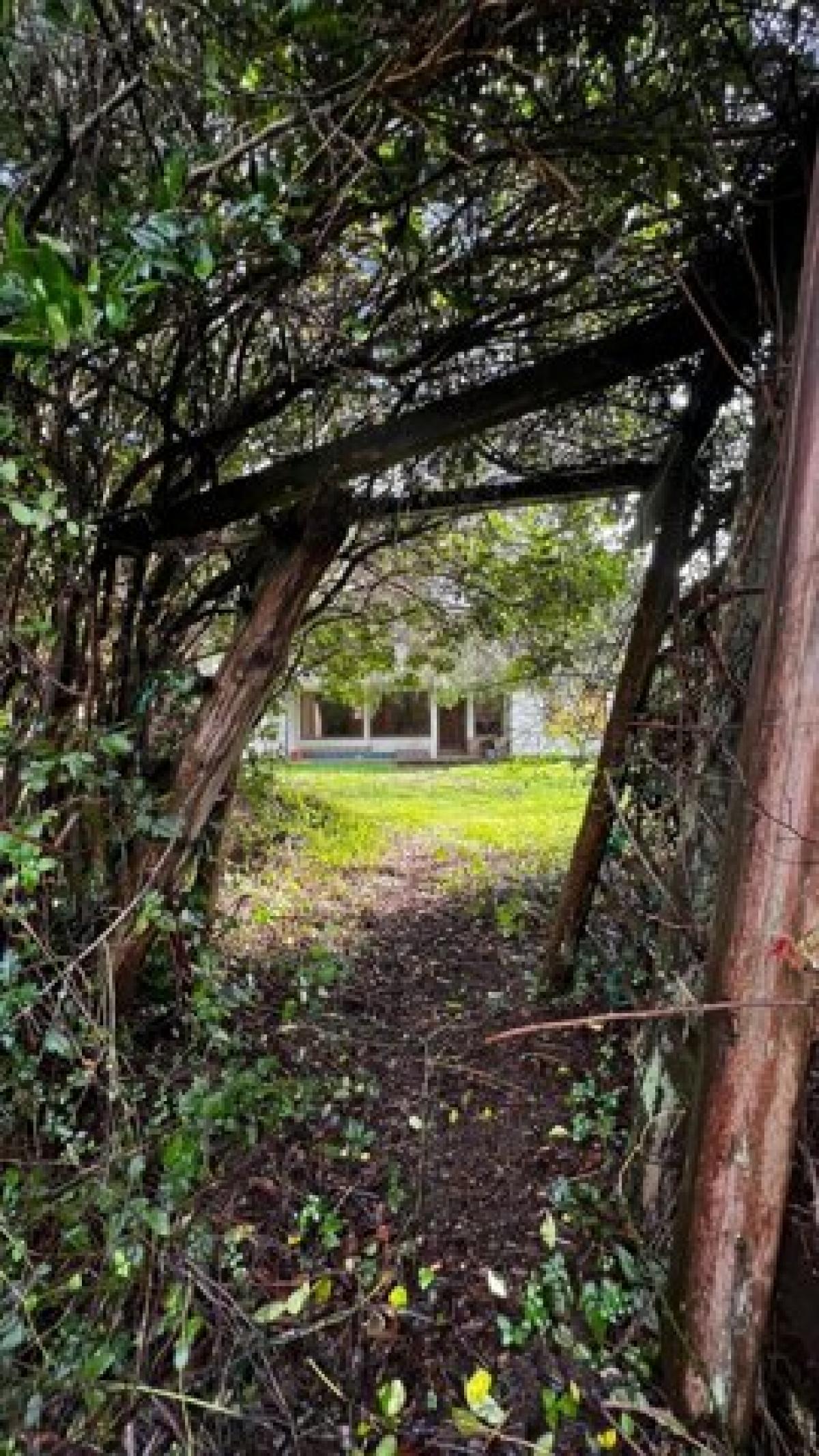 Picture of Home For Sale in Trinidad, California, United States