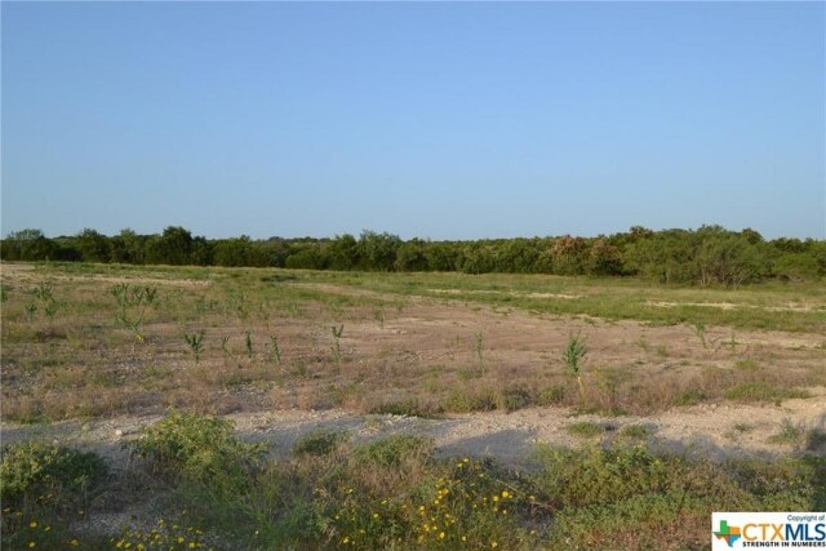 Picture of Residential Land For Sale in Kempner, Texas, United States