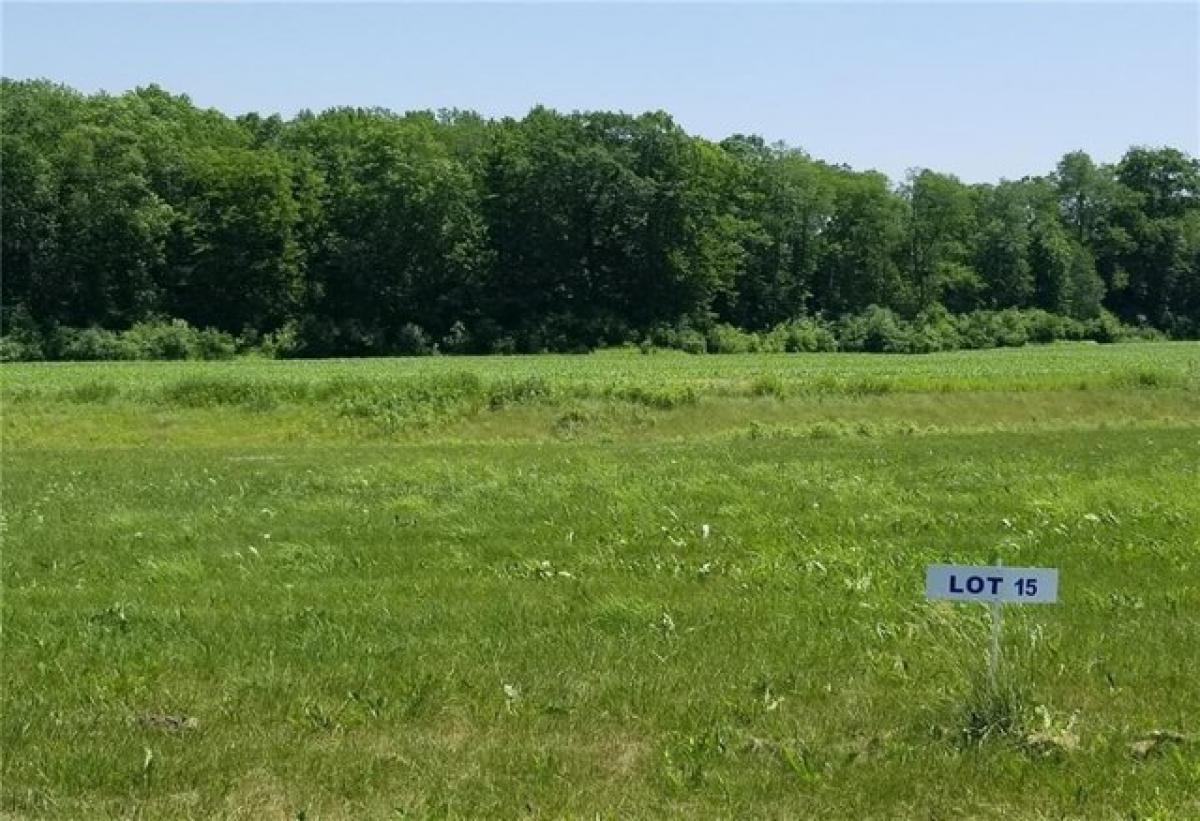 Picture of Residential Land For Sale in Elmwood, Wisconsin, United States