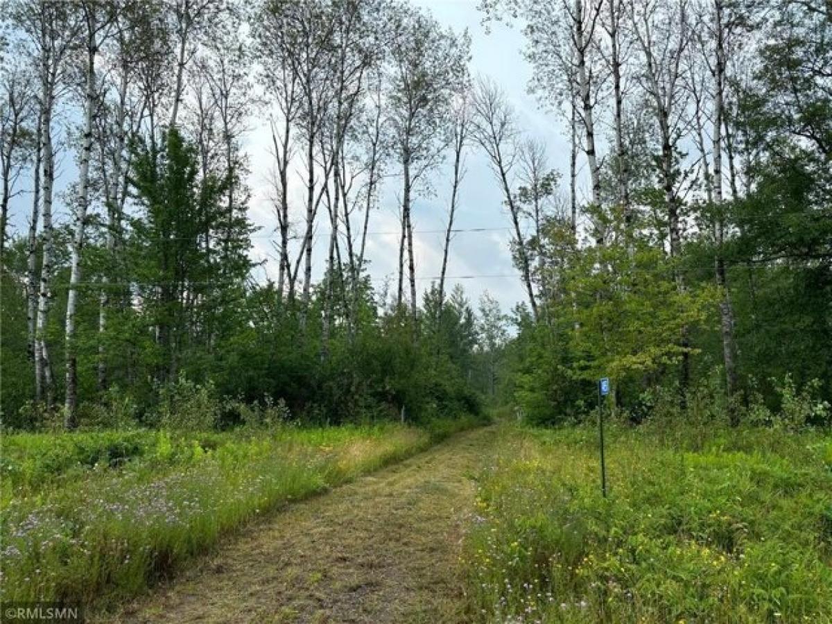 Picture of Residential Land For Sale in Sturgeon Lake, Minnesota, United States