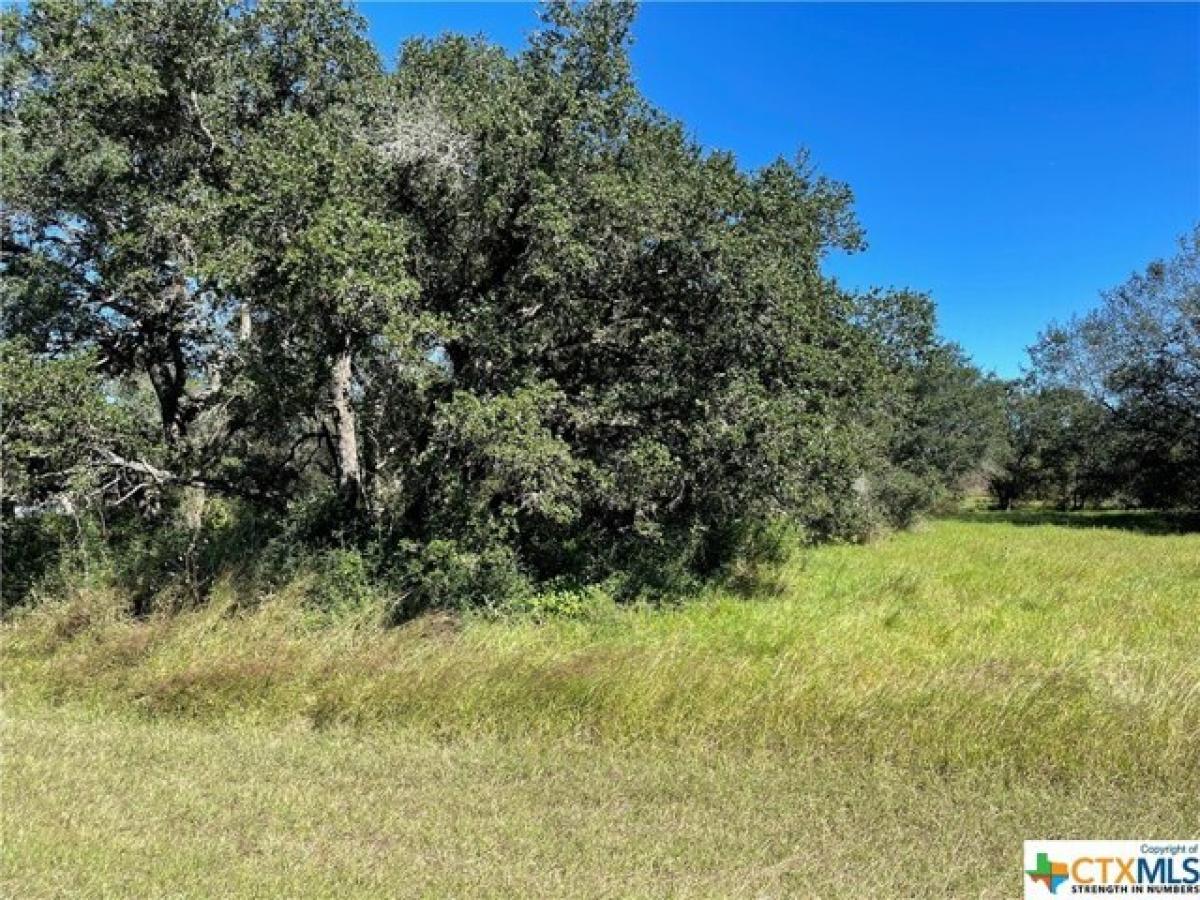 Picture of Residential Land For Sale in Inez, Texas, United States