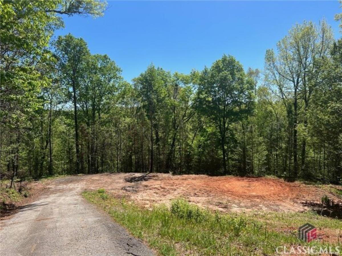 Picture of Residential Land For Sale in Alto, Georgia, United States