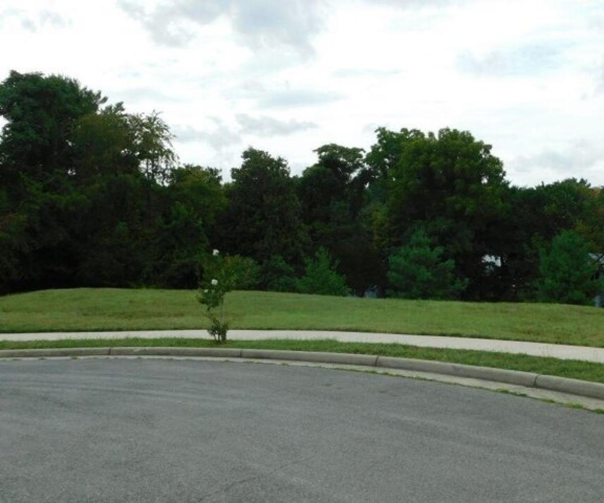 Picture of Residential Land For Sale in Roanoke, Virginia, United States