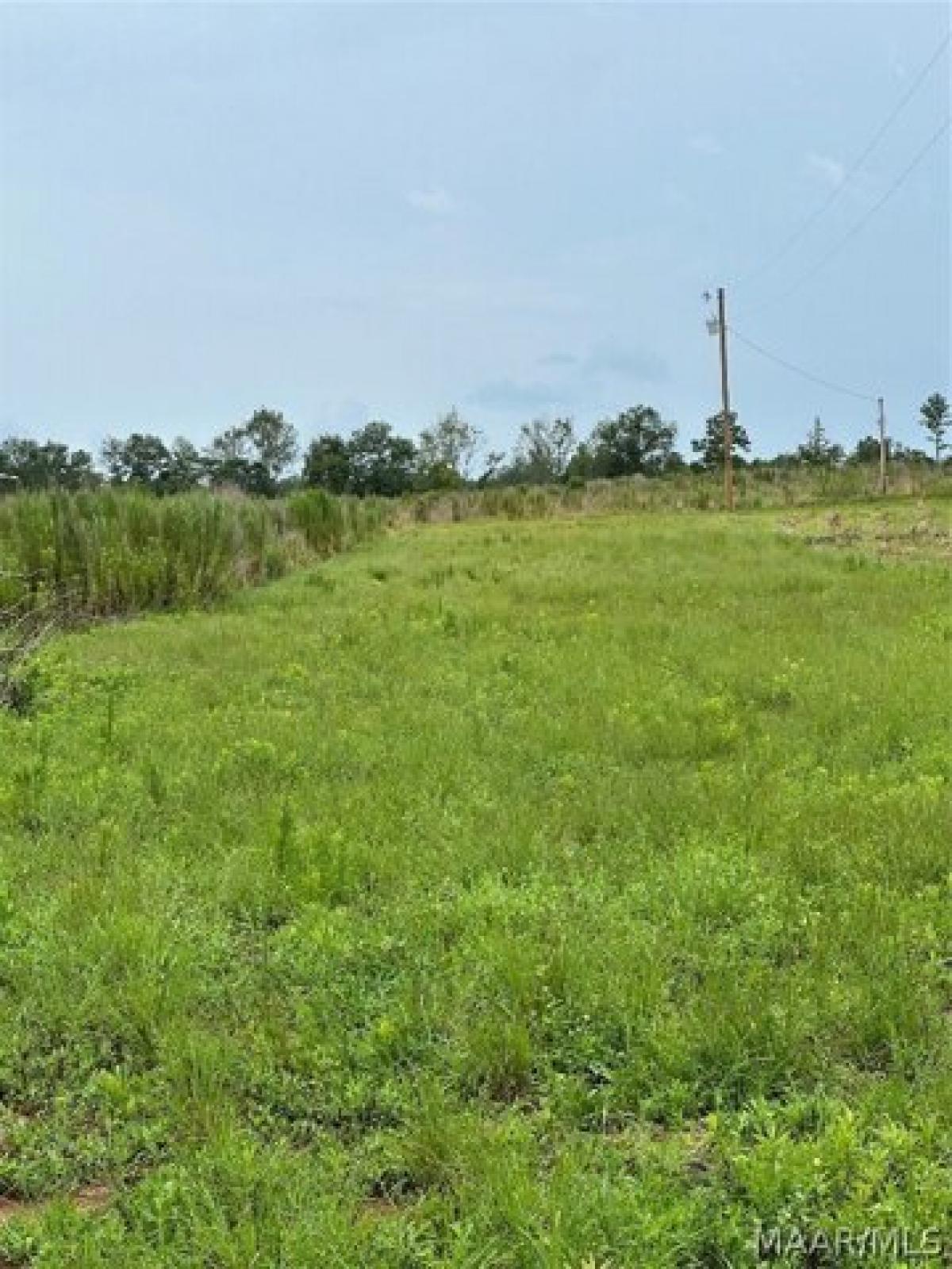 Picture of Residential Land For Sale in New Brockton, Alabama, United States