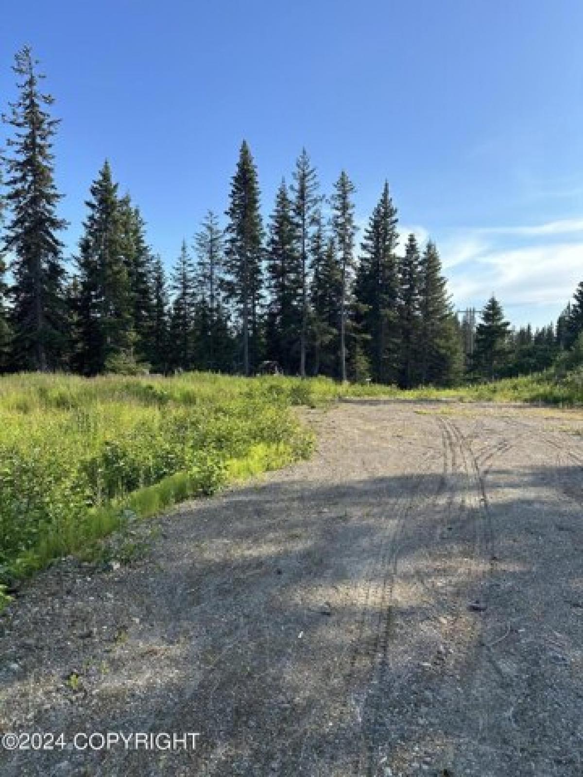 Picture of Residential Land For Sale in Anchor Point, Alaska, United States