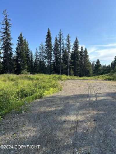 Residential Land For Sale in Anchor Point, Alaska