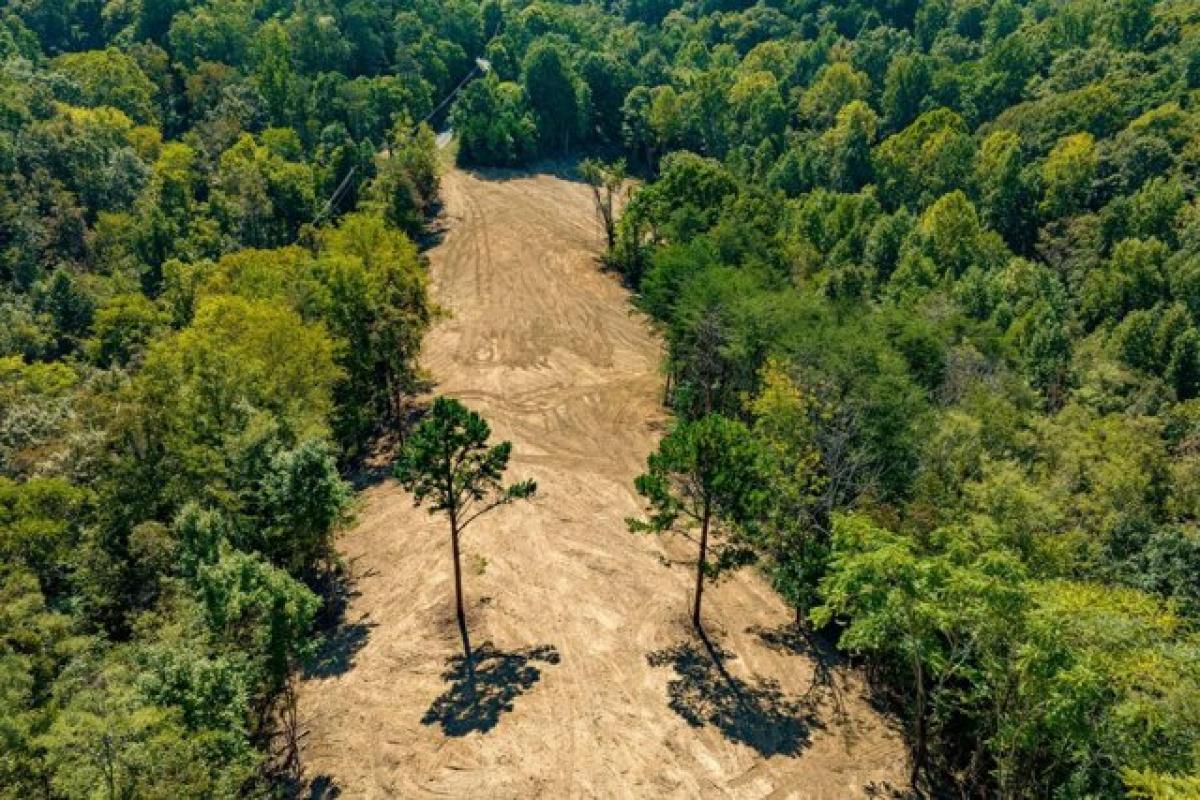 Picture of Residential Land For Sale in Whitesburg, Tennessee, United States