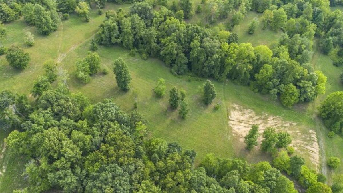 Picture of Residential Land For Sale in Grayson, Kentucky, United States