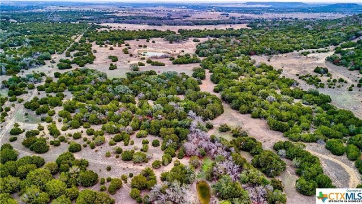 Picture of Residential Land For Sale in Kempner, Texas, United States