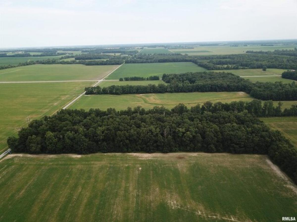 Picture of Residential Land For Sale in Xenia, Illinois, United States