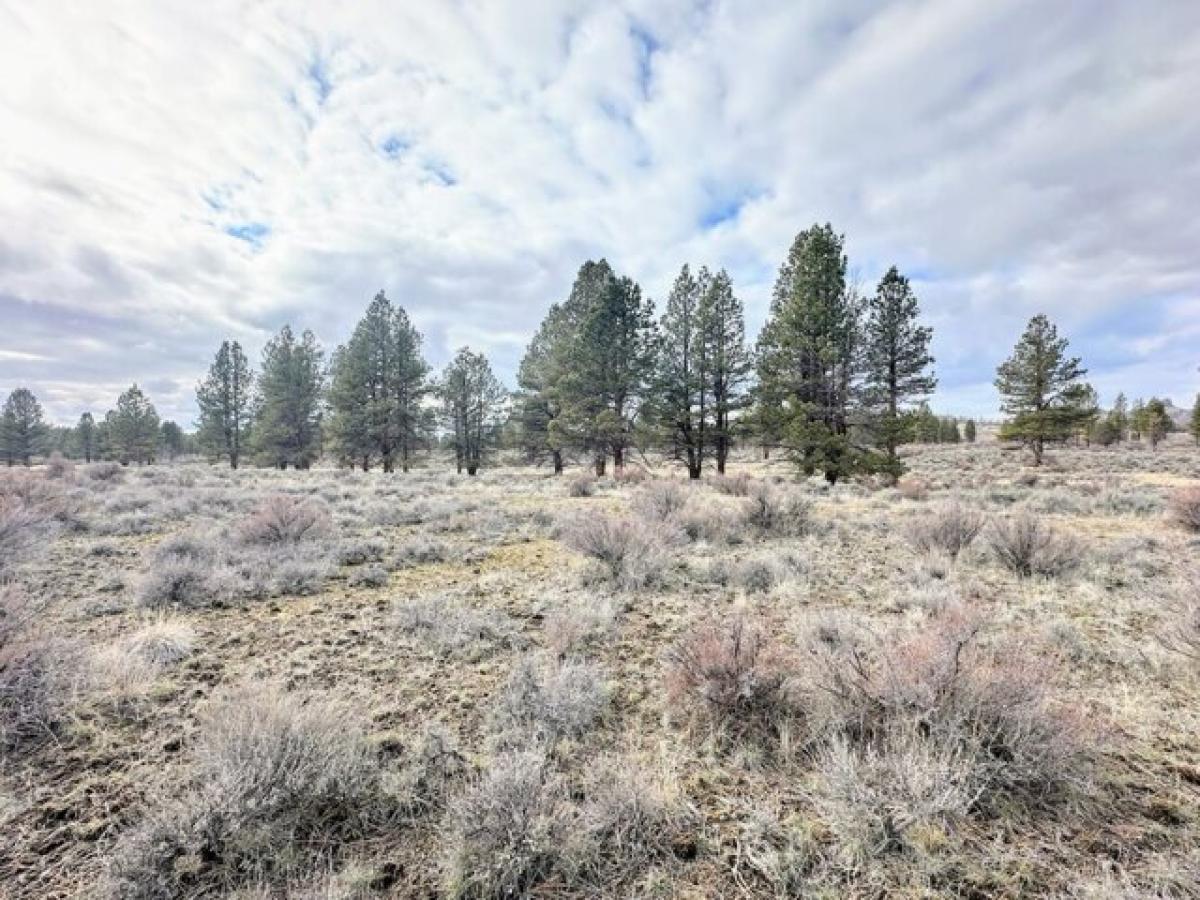 Picture of Residential Land For Sale in Beatty, Oregon, United States