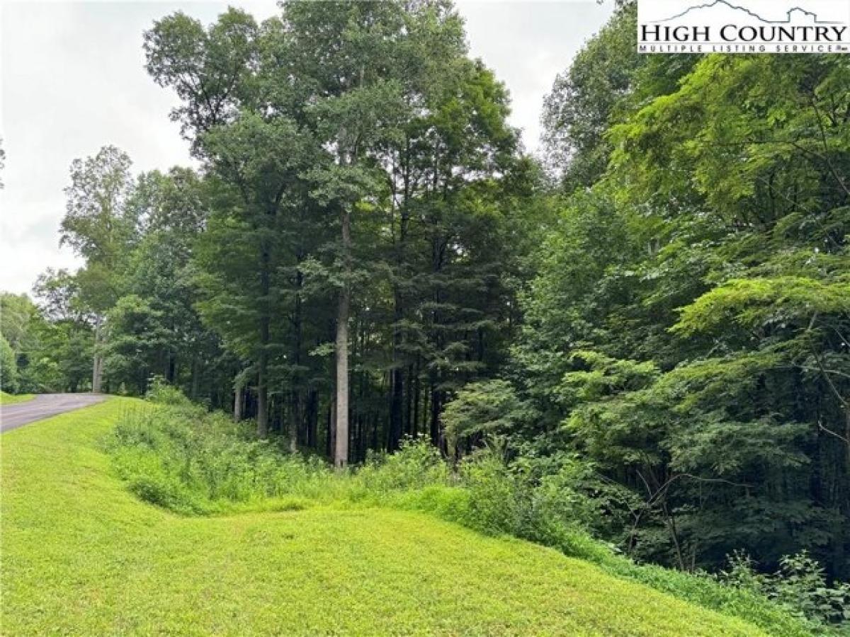 Picture of Residential Land For Sale in Todd, North Carolina, United States