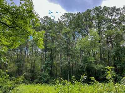 Residential Land For Sale in Vidor, Texas