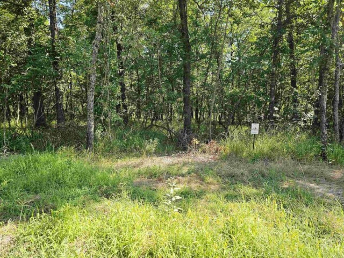 Picture of Residential Land For Sale in Maumelle, Arkansas, United States