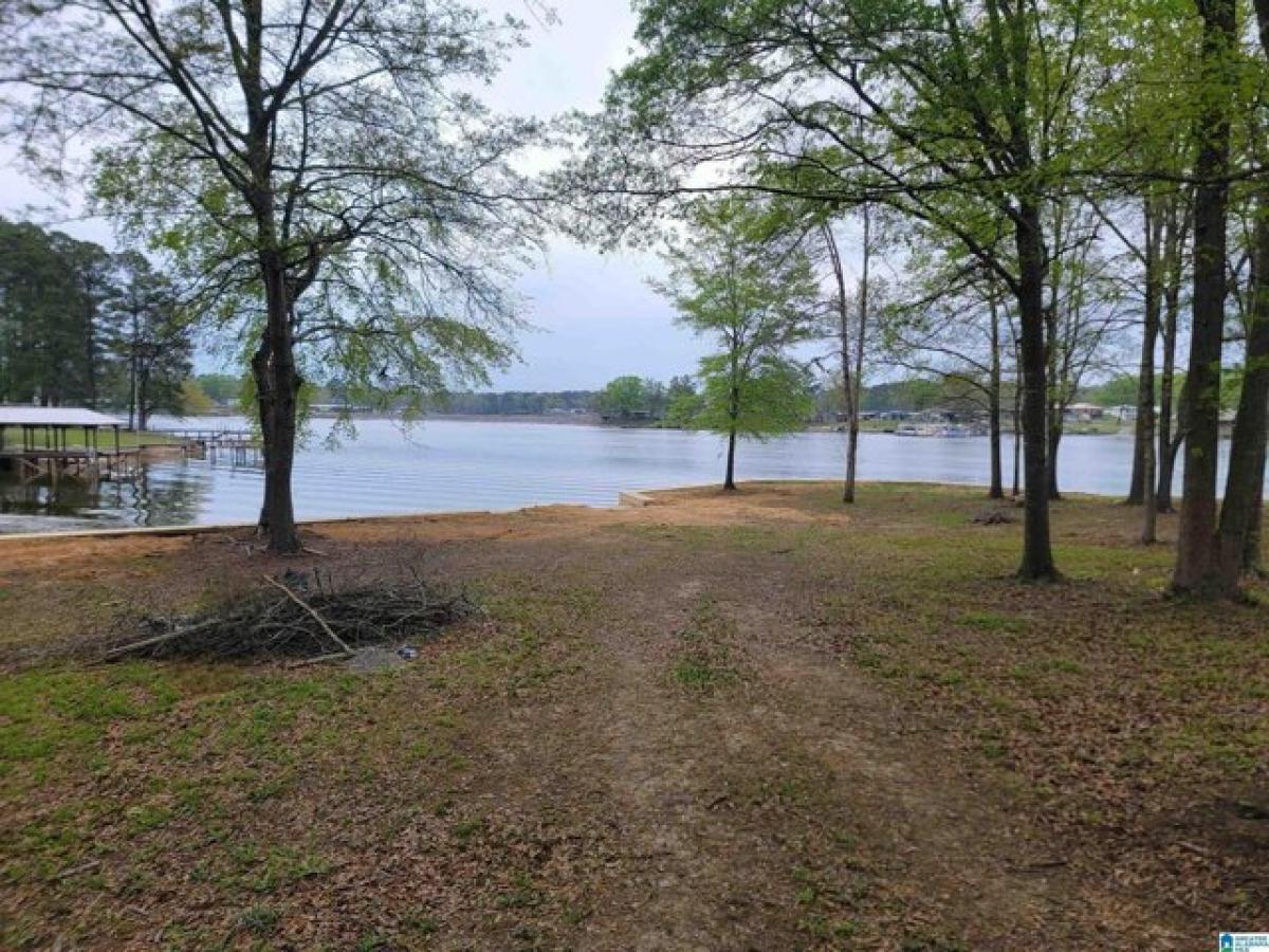 Picture of Residential Land For Sale in Vincent, Alabama, United States