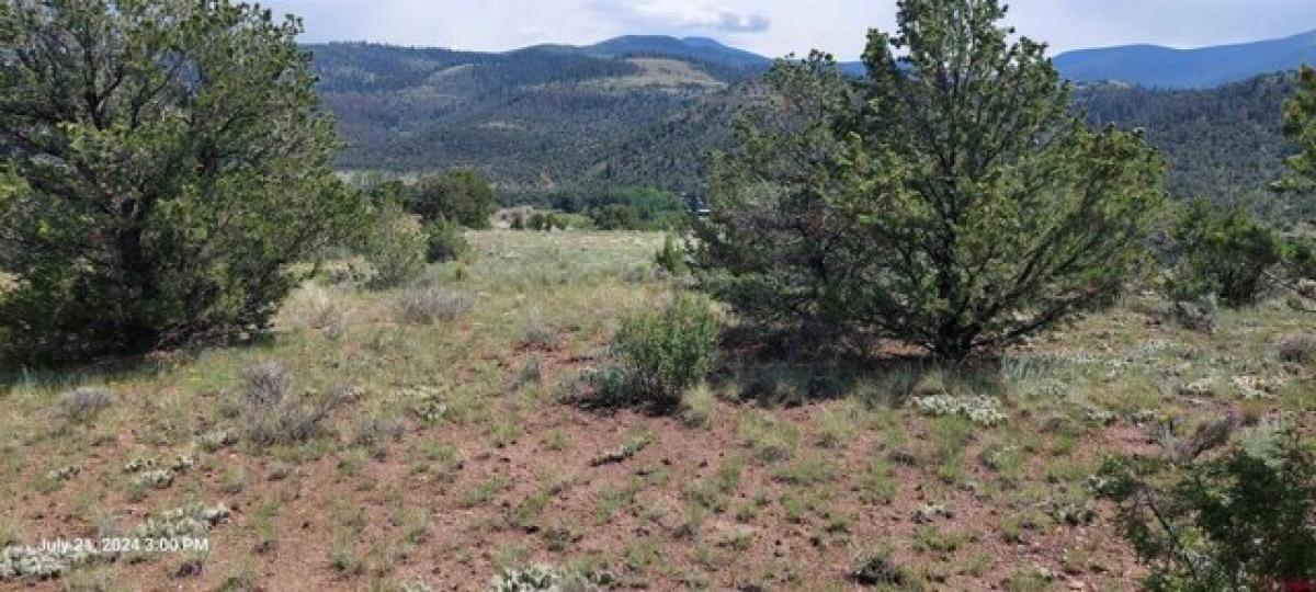 Picture of Residential Land For Sale in South Fork, Colorado, United States