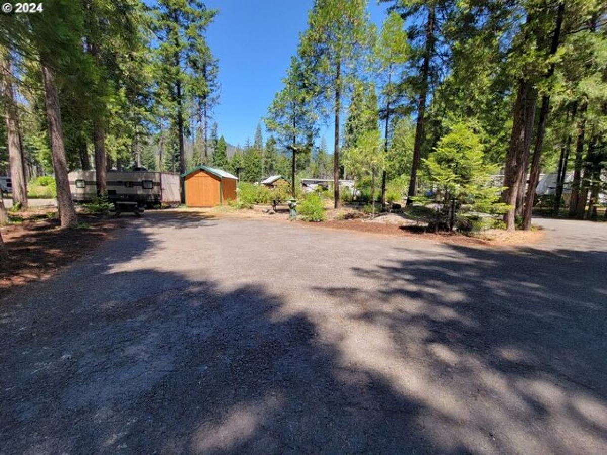 Picture of Residential Land For Sale in Blue River, Oregon, United States