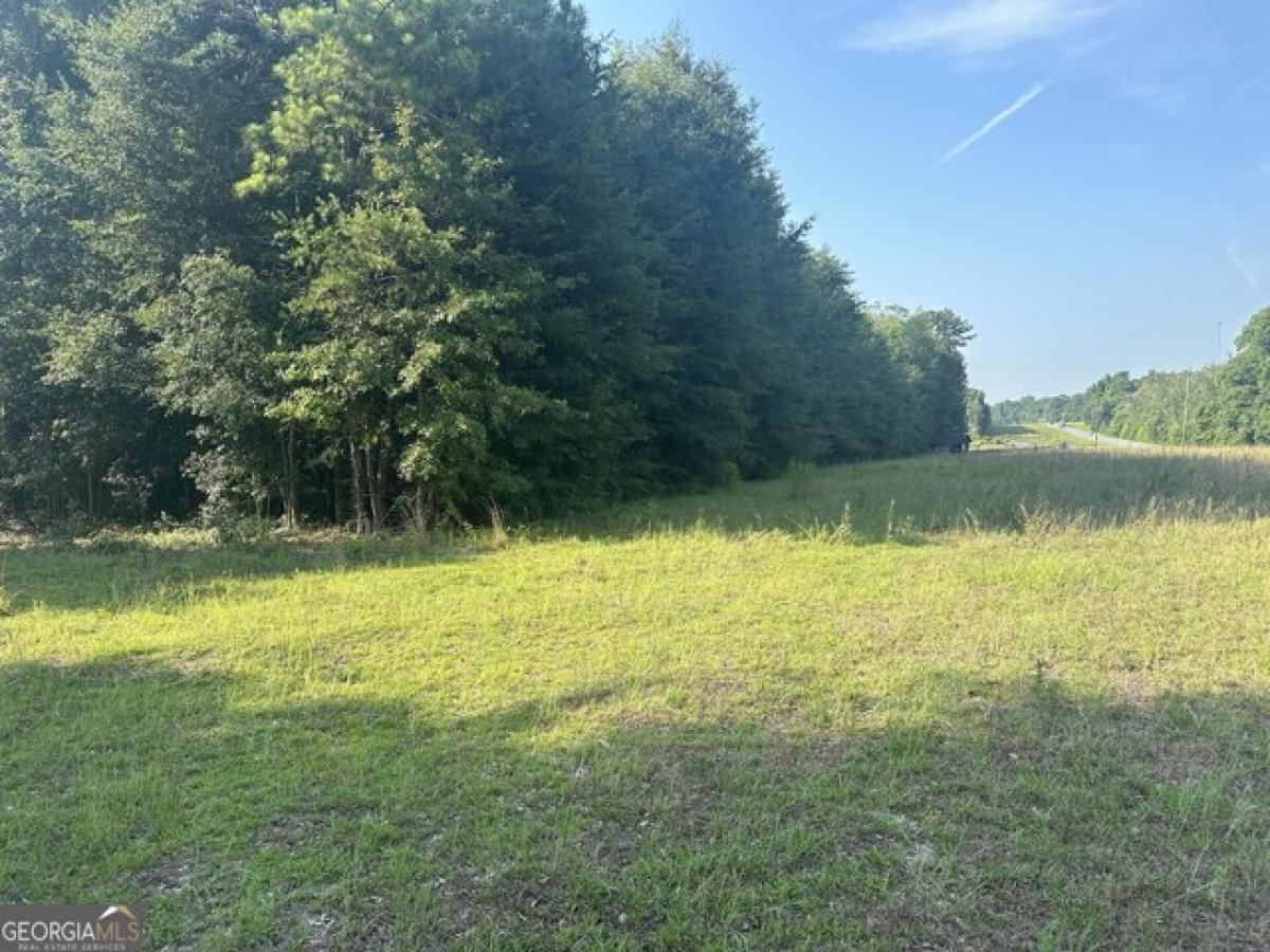 Picture of Residential Land For Sale in Sylvania, Georgia, United States