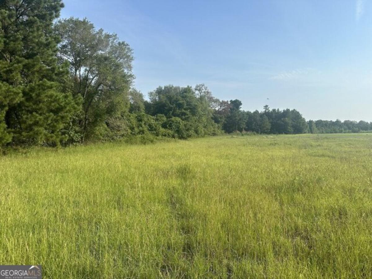 Picture of Residential Land For Sale in Sylvania, Georgia, United States