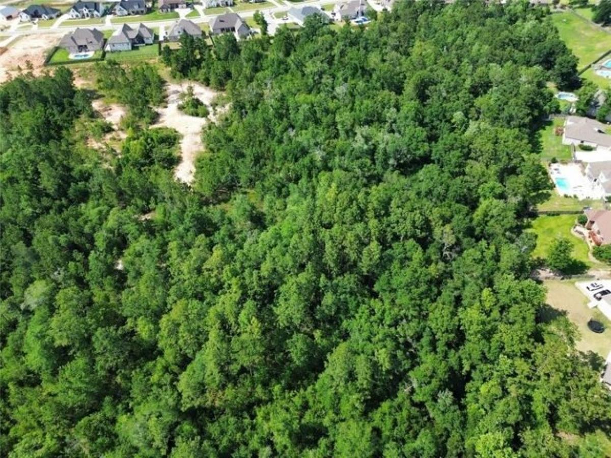 Picture of Residential Land For Sale in Saraland, Alabama, United States